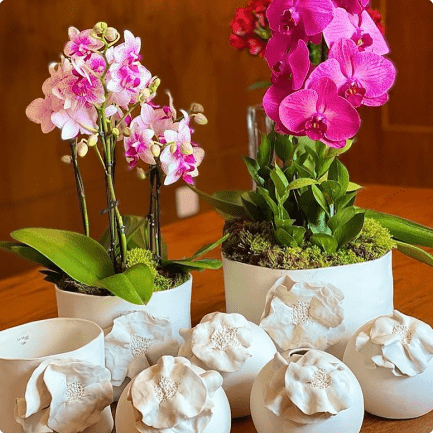 Decoração