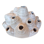 Ornato Coral M