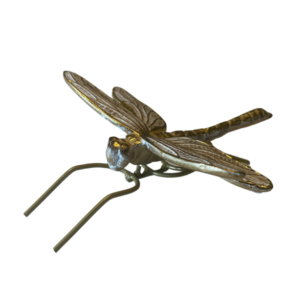 Libélula Decorativa